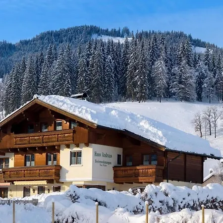 Andreas Apartment Flachau
